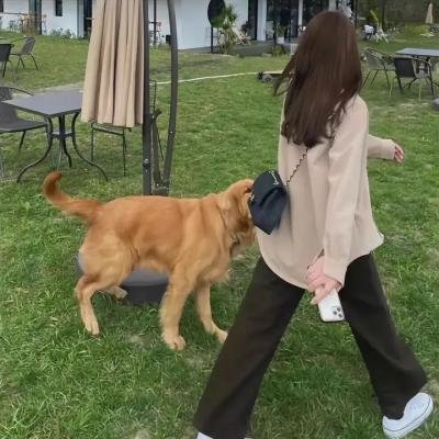 孤独的妻子